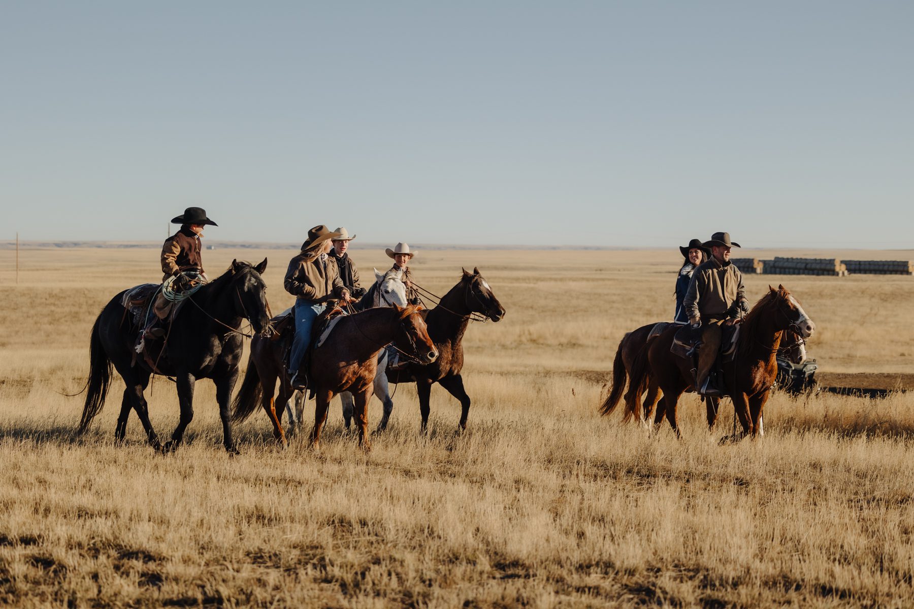 A family of ranchers riding their horses while gathering cattle in Montana