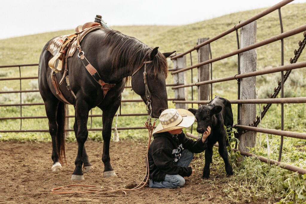 A little boy and his horse sitting next to a baby calf and petting the baby calf cheek