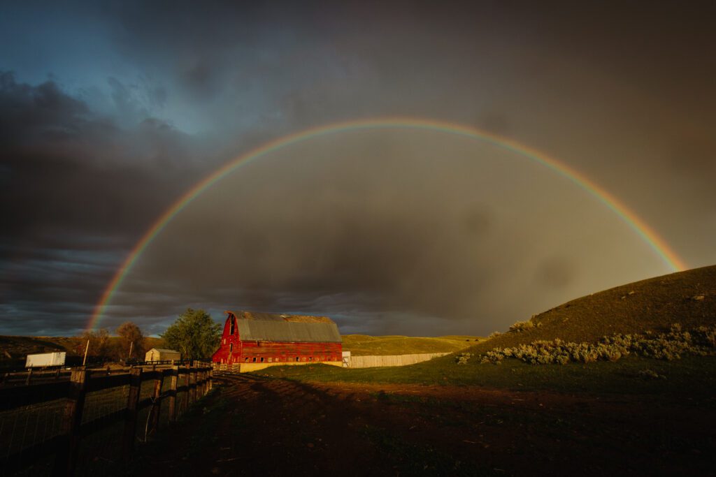 A beautiful full rainbow on a stormy evening over a red barn on a ranch in Montana
